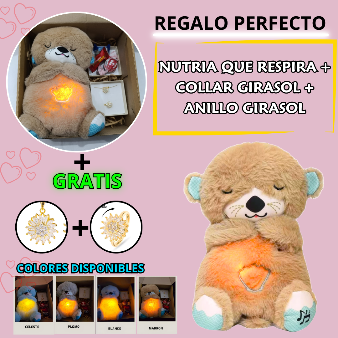 PACK NUTRIA , ANILLO Y COLLAR GIRASOL , CAJA DE REGALO